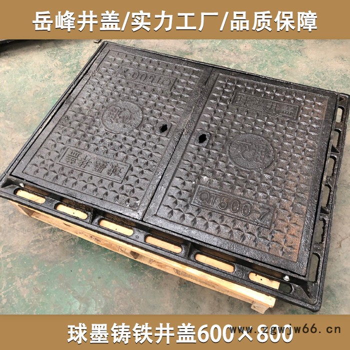 铸铁井盖600x800双盖图4
