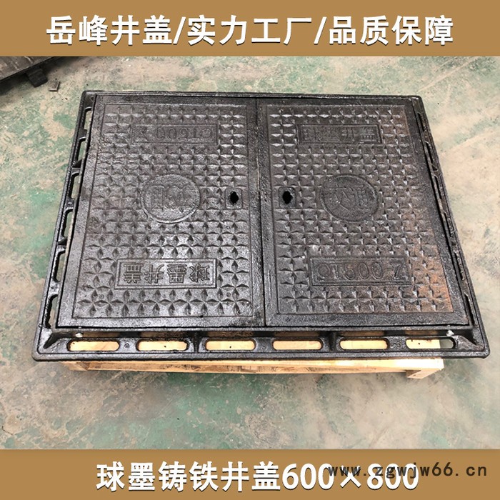 铸铁井盖600x800双盖图6