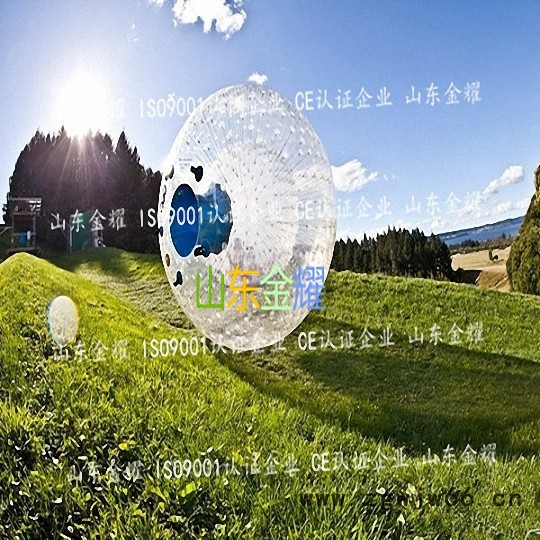 河北滚筒六位一体服务不如尖叫滑草设备图7