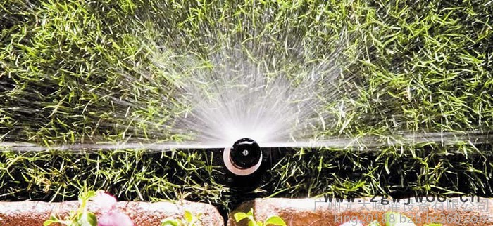 美国雨鸟 广东广州雨鸟喷灌喷头地埋式喷头农场球场高尔夫电磁阀控制器滴灌图5
