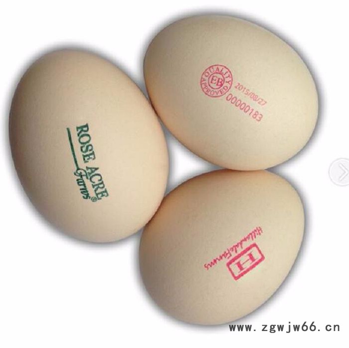 鸡蛋喷码机单喷头鸡蛋喷码机图3