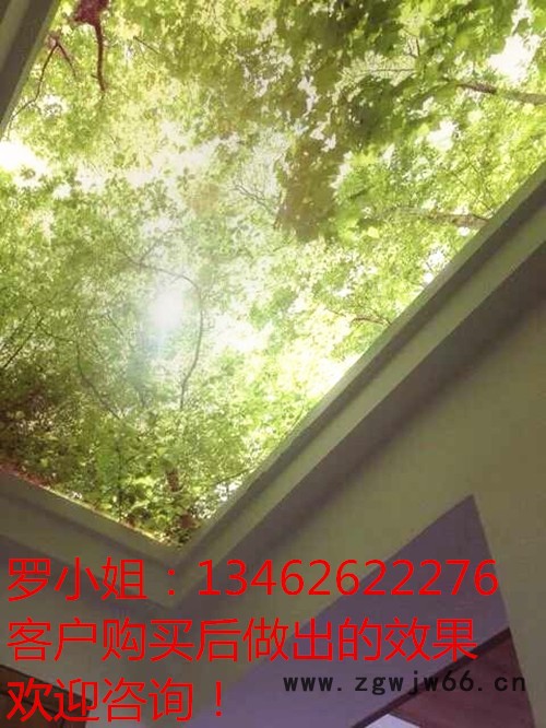 铝制标牌uv打印机 理光G5喷头图2