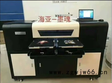 全自动经济型双工位4喷头数码白墨直喷机（带软件）图6