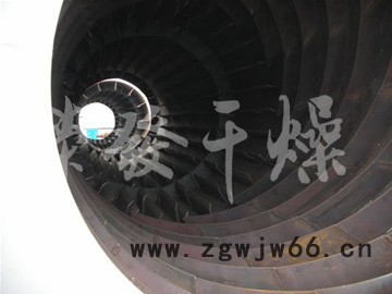 供应滚筒刮板干燥机图2