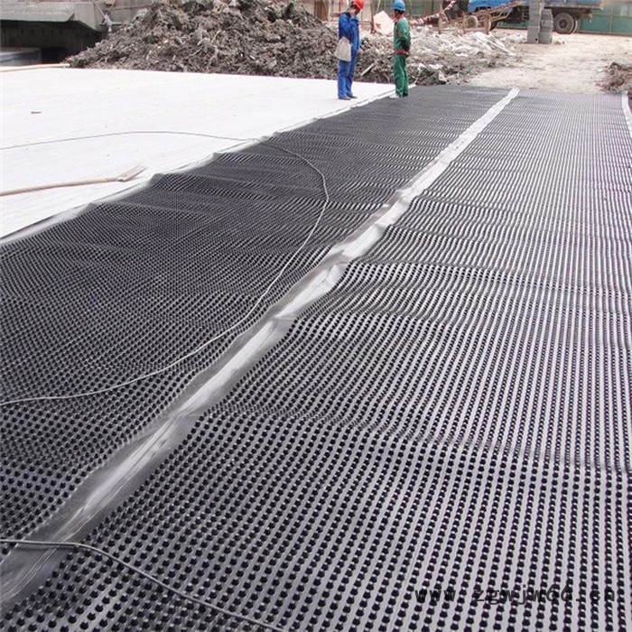 拓林 复合井盖沟盖  复合沟盖板 排水沟盖板  塑料排水板 蓄排水板 车库顶绿化专用**20蓄排水板图4