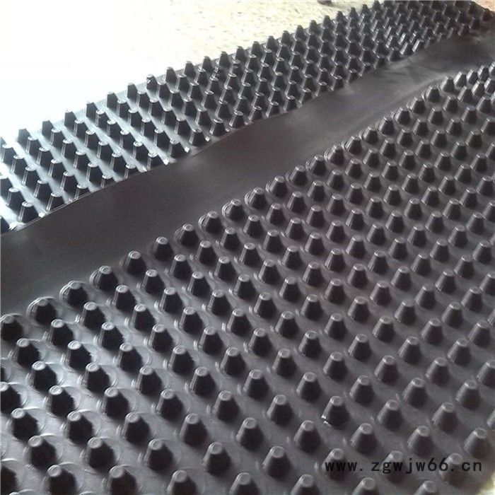 拓林 复合井盖沟盖  复合沟盖板 排水沟盖板  塑料排水板 蓄排水板 车库顶绿化专用**20蓄排水板图3