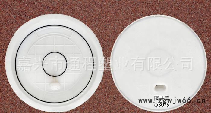 直销 精密塑料模具 圆井盖塑料模具30x5 铁路盖板塑料模具图3