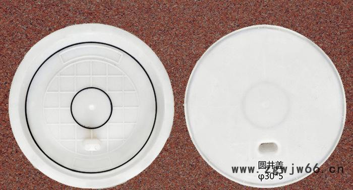 直销 精密塑料模具 圆井盖塑料模具30x5 铁路盖板塑料模具图2