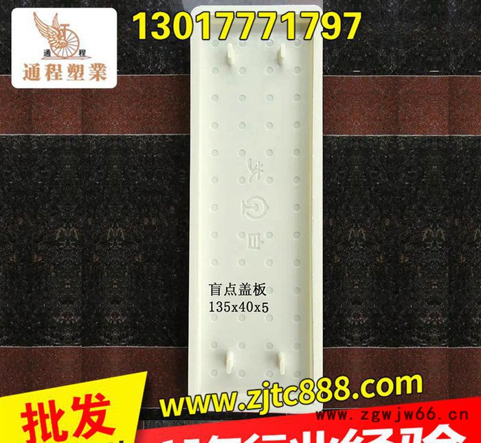 专业提供 铁路盖板塑料模具盲点盖135x40x5 窨井盖塑料模具图2