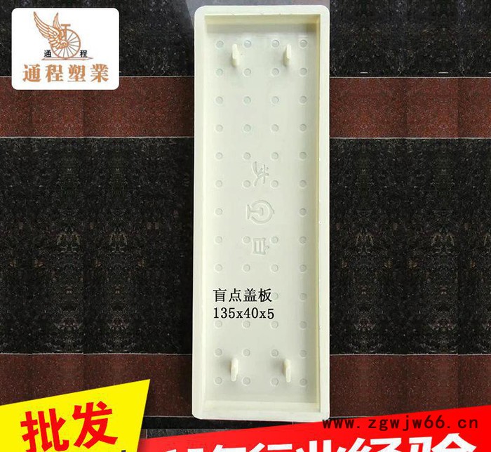 专业提供 铁路盖板塑料模具盲点盖135x40x5 窨井盖塑料模具图3