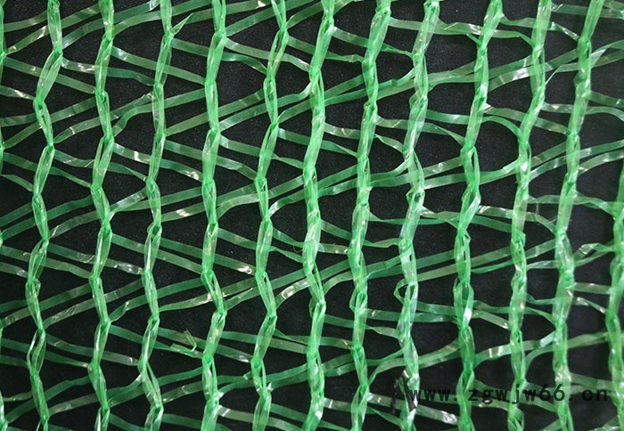 捷源 盖土网、建筑安全网、攀爬网、井盖网、安全平网质量可靠，欢迎在线咨询订购图2