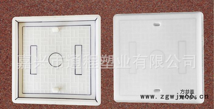专业提供 精密塑料模具 方井盖塑料模具70x70x6 精密塑料模具图2