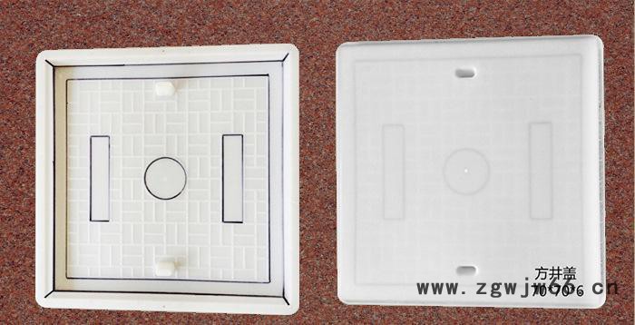 专业提供 精密塑料模具 方井盖塑料模具70x70x6 精密塑料模具图3