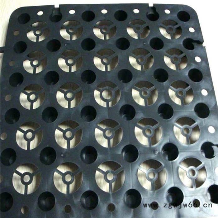 拓林 复合井盖沟盖 排水沟盖板 复合沟盖板 塑料排水板 蓄排水板 车库顶绿化专用**20蓄排水板图3