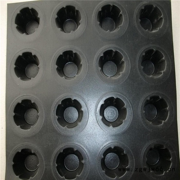 拓林 复合井盖沟盖 排水沟盖板 复合沟盖板 塑料排水板 蓄排水板 车库顶绿化专用**20蓄排水板图5