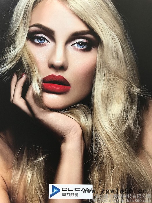 鼎力UV打印机/平板打印机/彩印机/彩绘机/理光G5喷头1612；2513；3020；3325图4