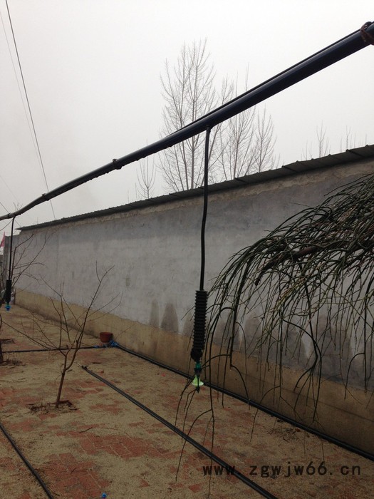 莱芜清润节水 **定做各种微喷 微喷头 方案设计 指导安装 质量保证 欢迎选购