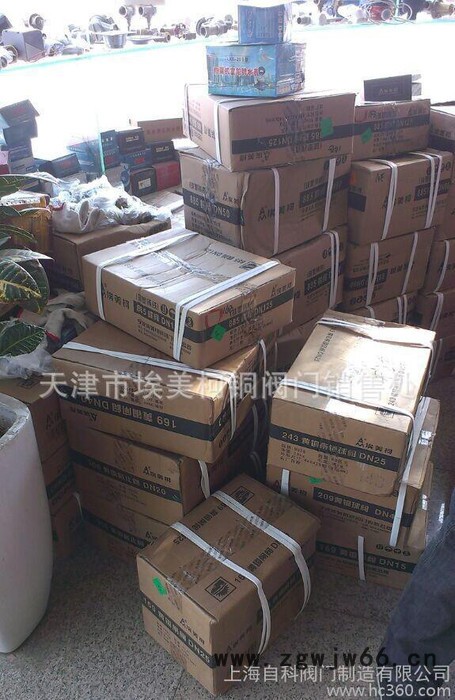 天津埃美柯 SD3 花洒升降架 淋浴器升降架 配喷头 软管图2