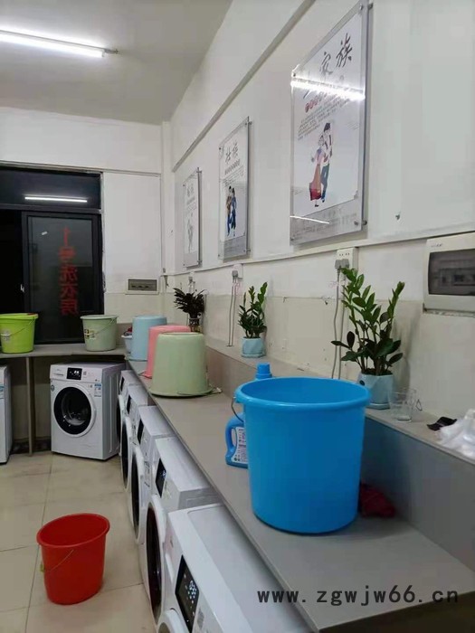 Midea/美的 湖南校园公寓8公斤滚筒商用洗衣机投放(L) 湖南校园公寓滚筒洗洗衣机图4