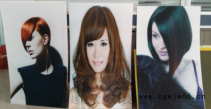 艺术背景墙彩色喷绘机，瓷砖拼接画彩绘机，双喷头UV打印机图3