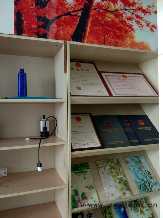 UV平板打印机经济型爱普生喷头装修打印机UV1525CAIYI彩艺图3