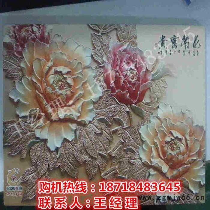 供应龙润UV1313丹东爱普生双喷头婚纱照彩印机图3