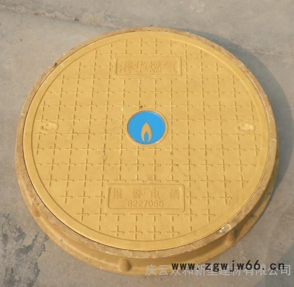 公园井盖，欢乐谷井盖，树脂复合井盖图2
