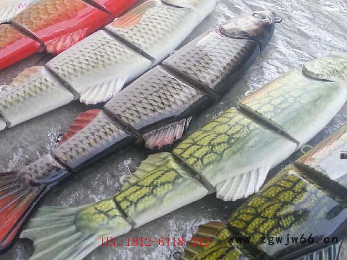 仿生钓饵 爱普生喷头 UV打印技术设备图3