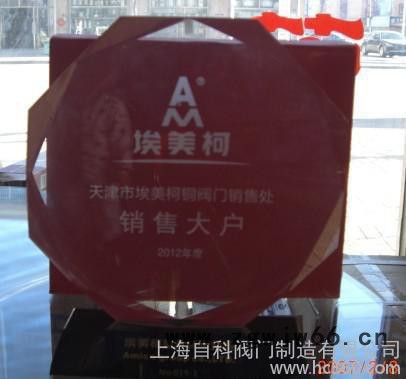 长春埃美柯 全铜方形8寸沐浴花洒头 YL28 顶棚喷头 单喷图2