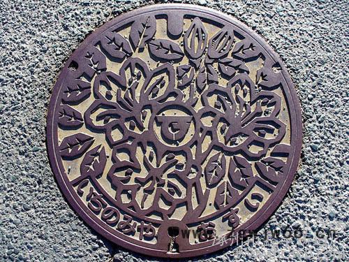 河北井盖|井盖价格|井盖种类图3