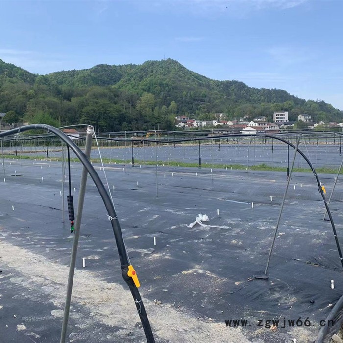 山东盈塑，现货出售吊挂微喷，大棚农用灌溉喷头，灌溉园林工具吊喷图6