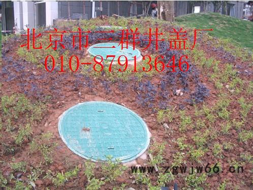 复合井盖，复合材料井盖，绿化井盖，井盖厂家图2