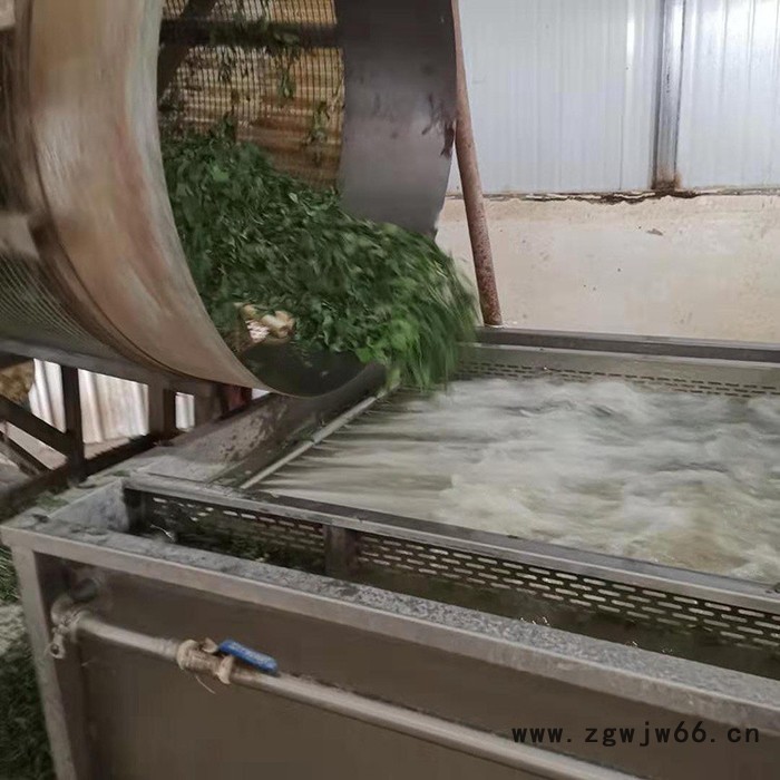 大型滚筒清洗机 海参翻浪清洗机 海棠果清洗机图3