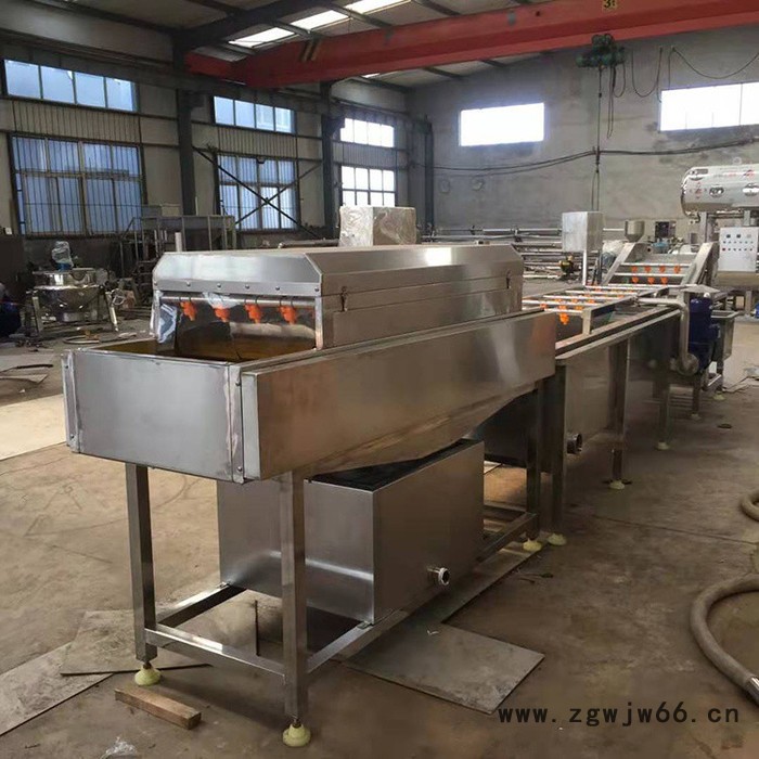 大型滚筒清洗机 海参翻浪清洗机 海棠果清洗机图2