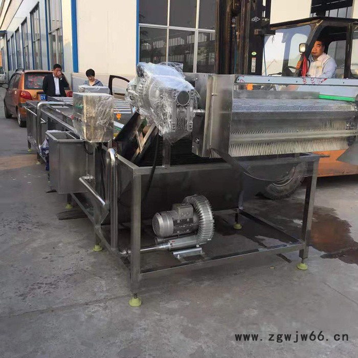 大型滚筒清洗机 海参翻浪清洗机 海棠果清洗机图6