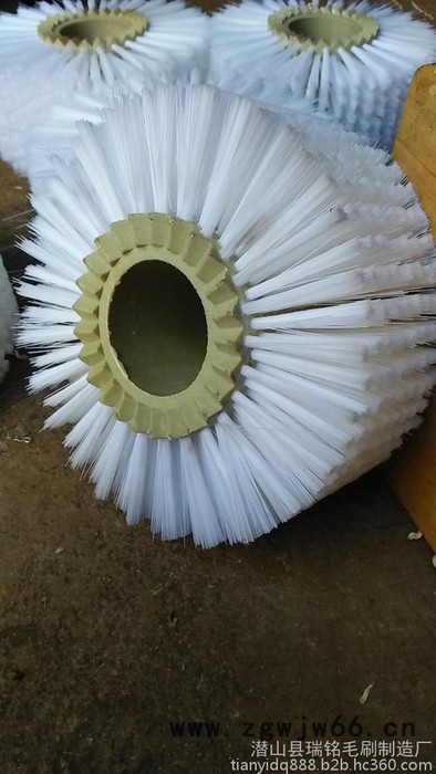 供应异型毛刷 毛刷辊 尼龙毛刷 毛刷滚筒 圆盘小毛刷图5