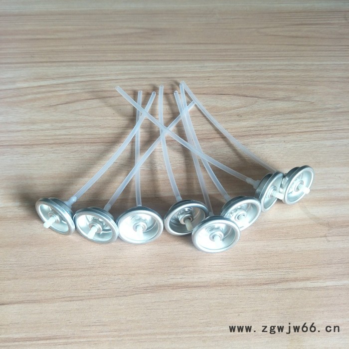 供应马口铁气雾罐喷雾罐 自喷漆罐 防水涂料喷雾铁罐 瓷砖空鼓剂罐图4