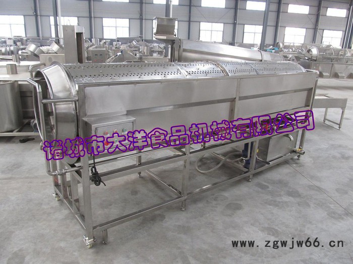 GQX型菊芋清洗机/大洋牌**滚筒清洗设备图2