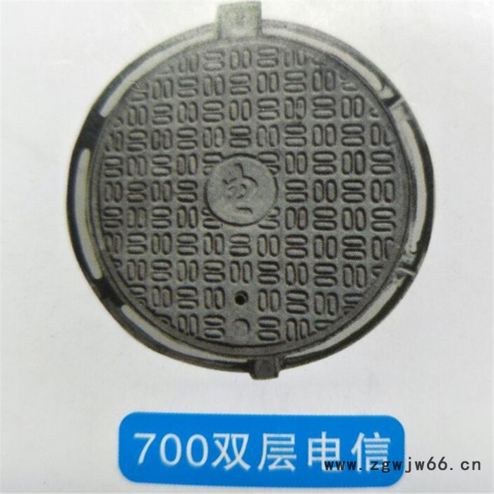 金峰700 井盖图2