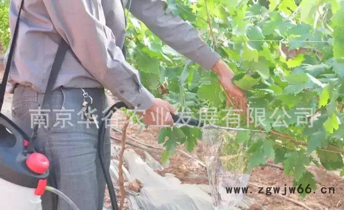 新款葡萄膨大剂无核药剂回流装置 环形喷头 不浪费农药 喷洒均图3