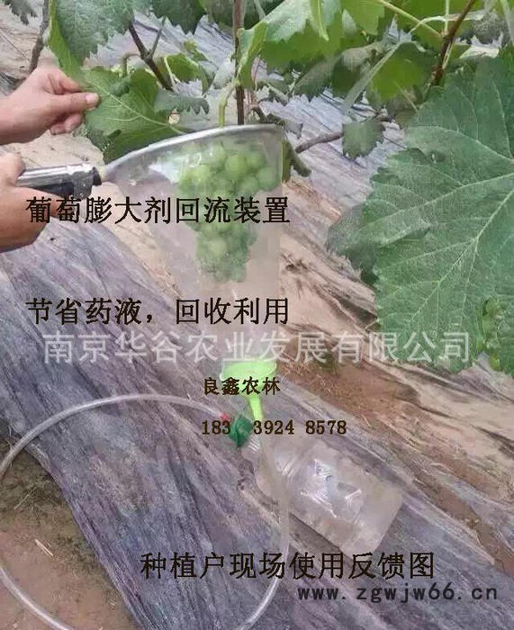 新款葡萄膨大剂无核药剂回流装置 环形喷头 不浪费农药 喷洒均图2