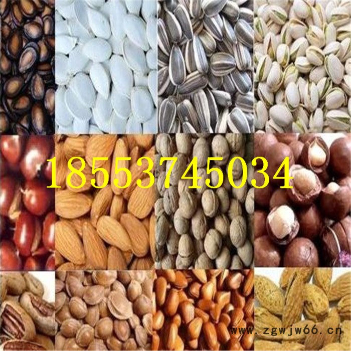 多功能燃气炒大豆机 生产各型号滚筒式炒货机 智能滚筒炒货机图4