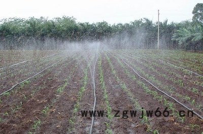 PE管材管件 农业滴灌设备 河北泽雨节水 滴灌带微喷带 微喷头图6