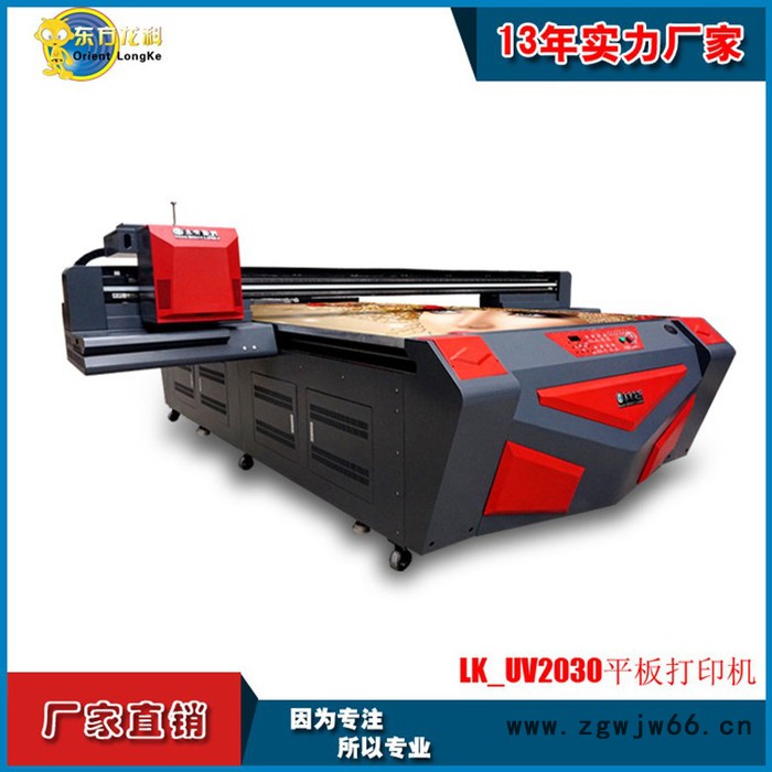 广东潮州汕头地区打印机供应 RICOH/理光UV2030  G4、G5喷头  uv平板打印机图3