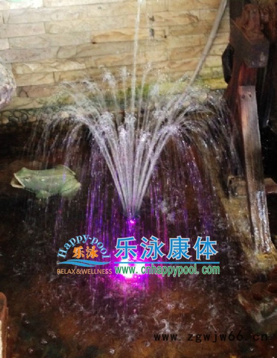 单花玉缨水花小型喷泉 园艺水景设备 喷泉产品 喷泉水灯 银色喷头图3