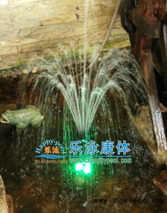 单花玉缨水花小型喷泉 园艺水景设备 喷泉产品 喷泉水灯 银色喷头图2