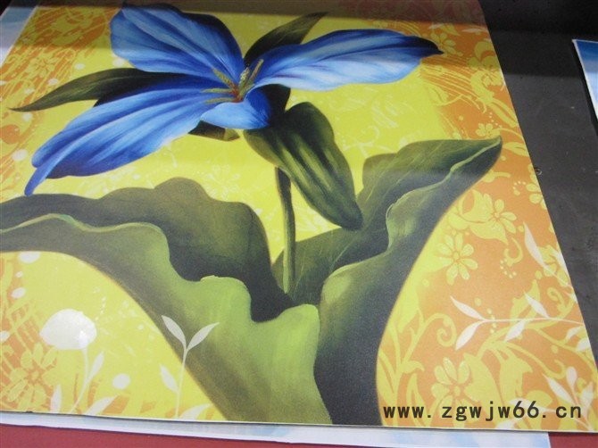 爱普生喷头结合创美科技打印设备技术 UV打印机图2