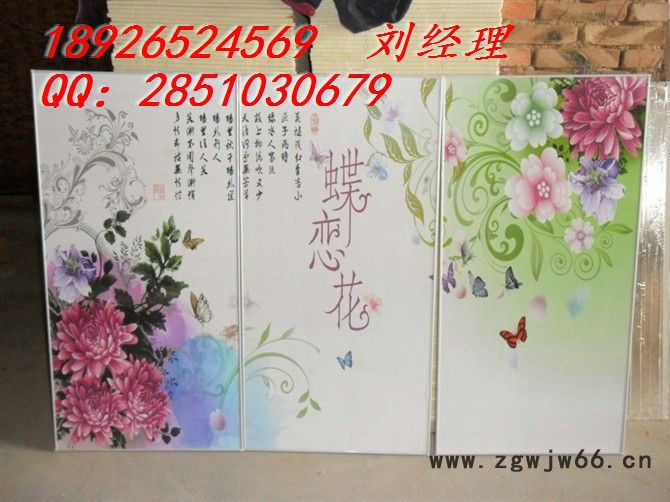 进口喷头 背景墙彩印机 玄关瓷砖背景墙喷绘机图2