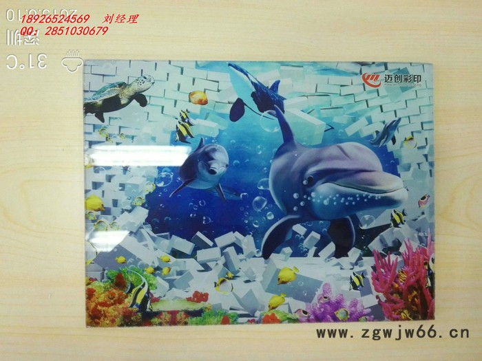 进口喷头 背景墙彩印机 玄关瓷砖背景墙喷绘机图4