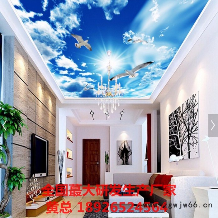 集成墙板UV打印机 **玻璃移门喷绘机价格 2513理光喷头打印机设备图2